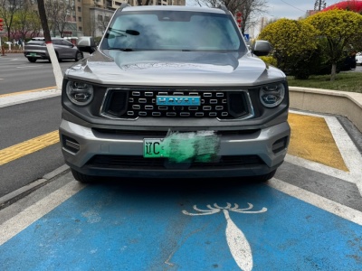 2023年03月 哈弗 哈弗二代大狗新能源 DHT-PHEV 105km 潮電版Plus圖片