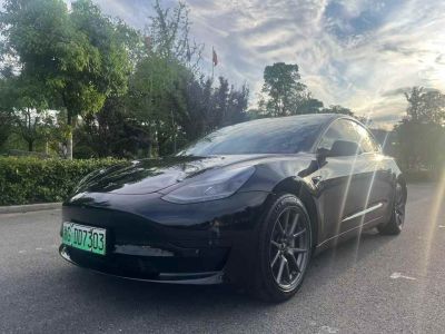 2021年4月 特斯拉 Model S Performance 高性能版圖片