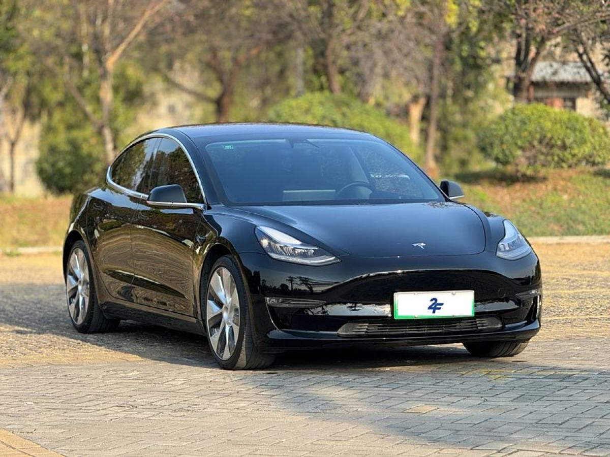 特斯拉 Model 3  2019款 Performance高性能全輪驅(qū)動版圖片