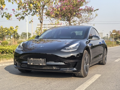 2020年8月 特斯拉 Model 3 標(biāo)準(zhǔn)續(xù)航后驅(qū)升級(jí)版圖片