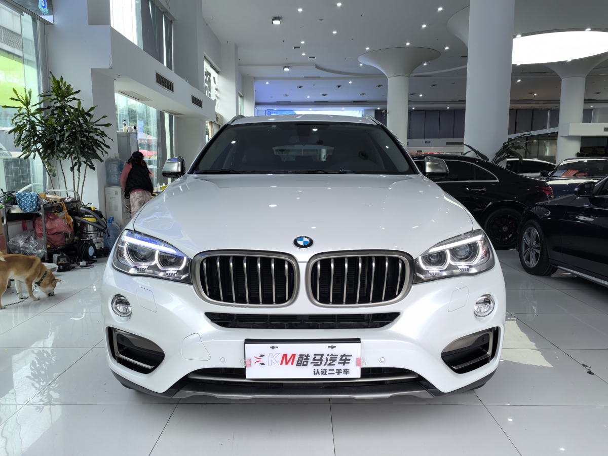 寶馬 寶馬X6  2017款 xDrive35i 領先型圖片