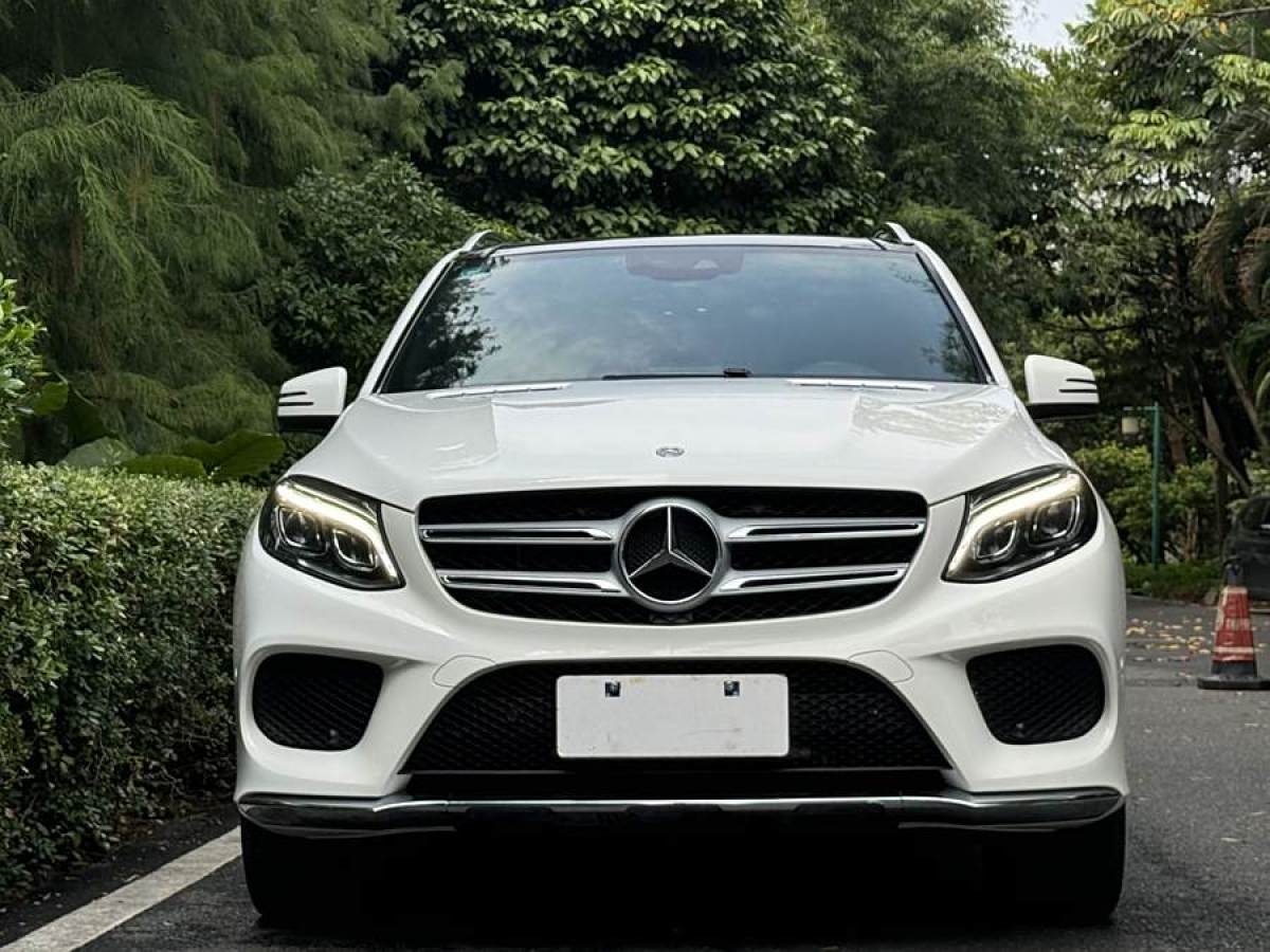 2018年1月奔馳 奔馳GLE  2017款 GLE 320 4MATIC 動感型