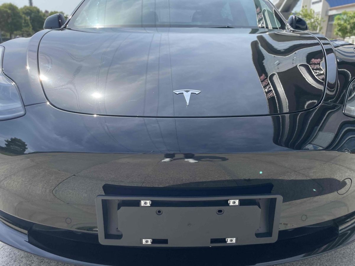 特斯拉 Model 3  2022款 后輪驅(qū)動(dòng)版圖片