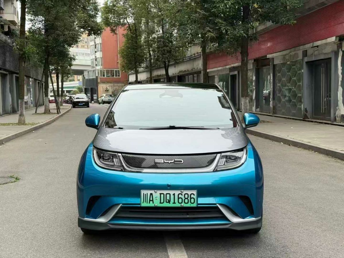 比亞迪 海豚  2021款 401km 騎士版圖片