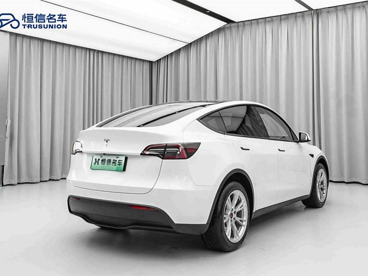 特斯拉 Model Y  2022款 改款 長續(xù)航全輪驅(qū)動(dòng)版圖片