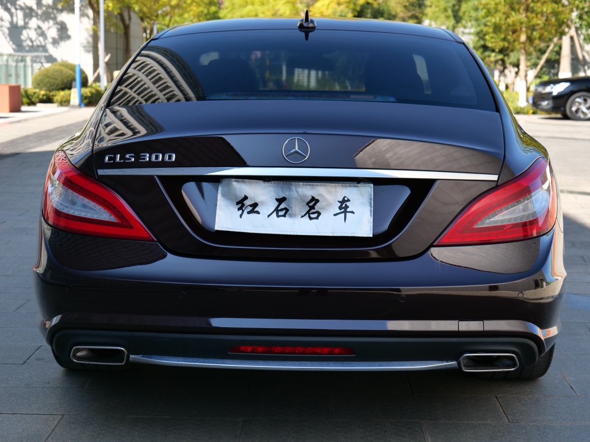 奔馳 奔馳CLS級  2012款 CLS 300 CGI圖片