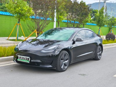 2021年4月 特斯拉 Model 3 標(biāo)準(zhǔn)續(xù)航后驅(qū)升級版圖片