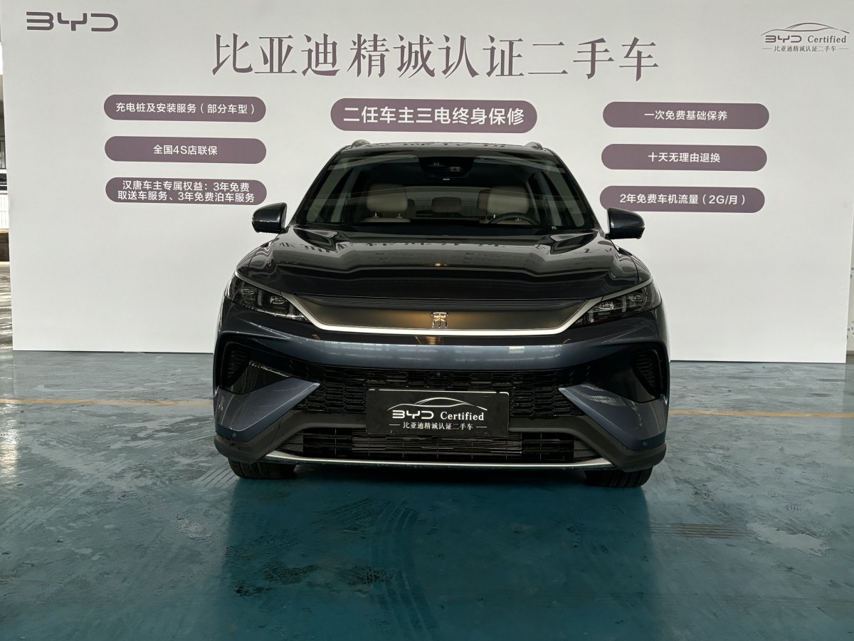 比亞迪 宋Pro新能源  2025款 DM-i 115KM卓越型圖片