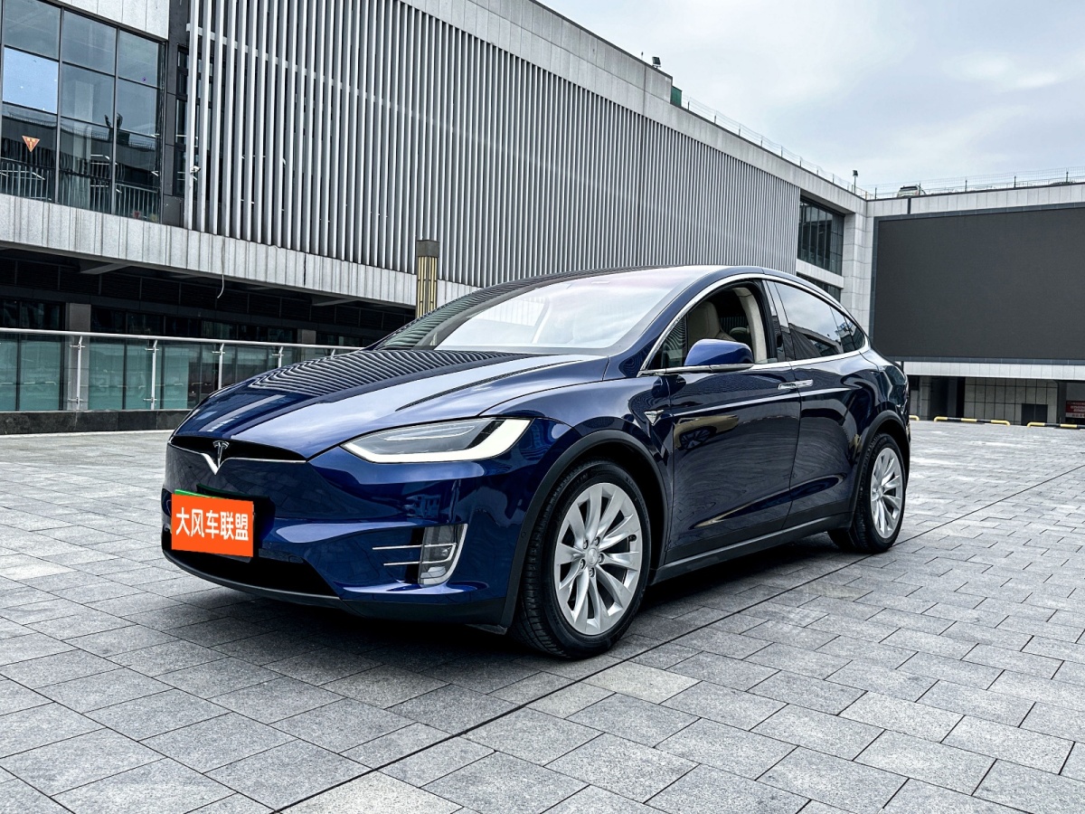 特斯拉 Model X  2017款 Model X 100D 長續(xù)航版圖片