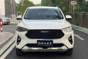 哈弗F7x 哈弗  2.0T 兩驅(qū)極智科技版