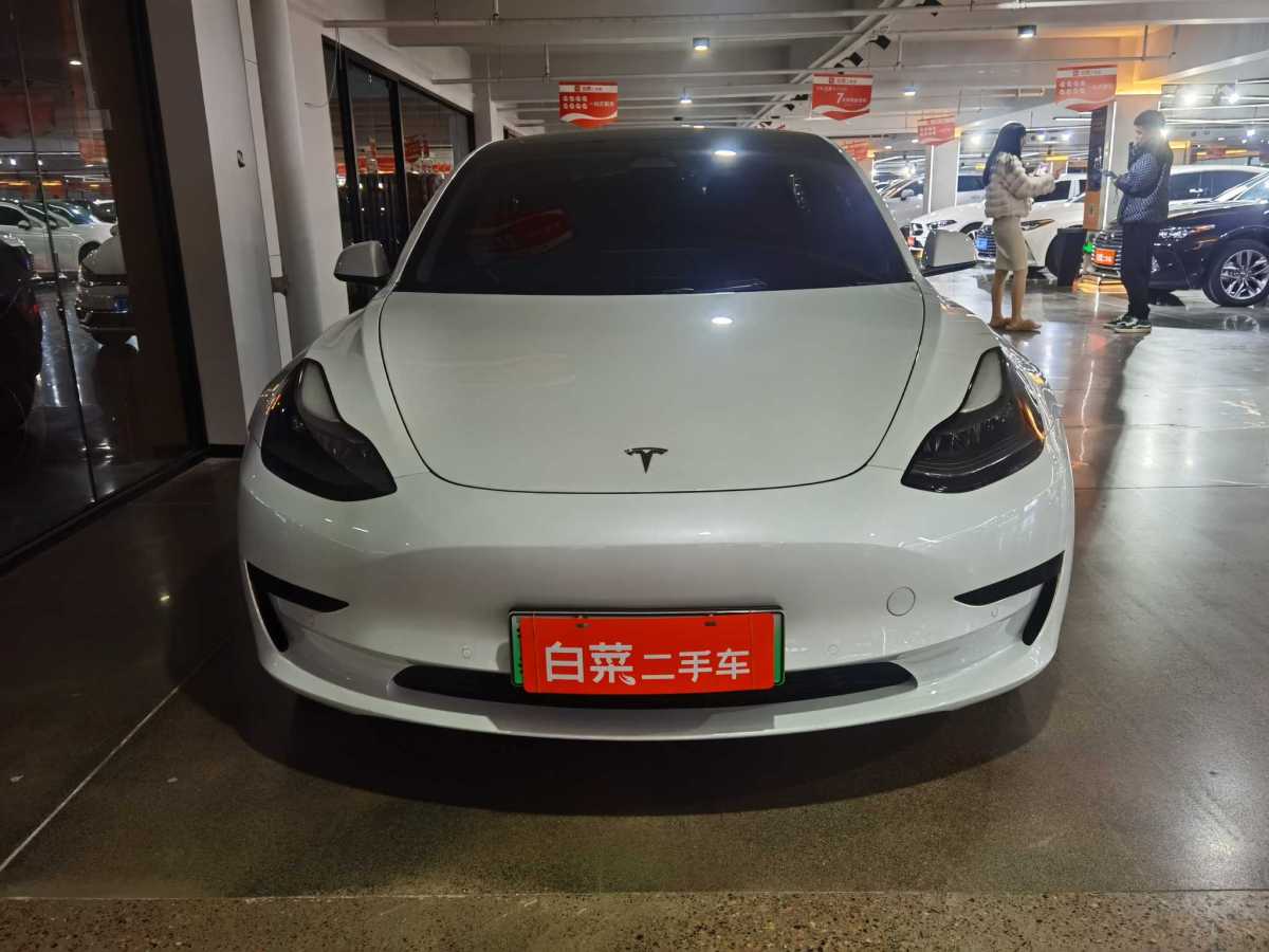 特斯拉 model 3 2019款 標準續航後驅升級版圖片