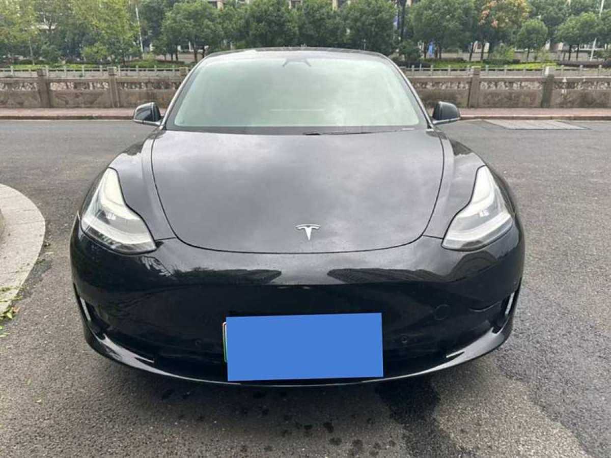 特斯拉 Model 3  2020款 改款 標(biāo)準(zhǔn)續(xù)航后驅(qū)升級(jí)版圖片