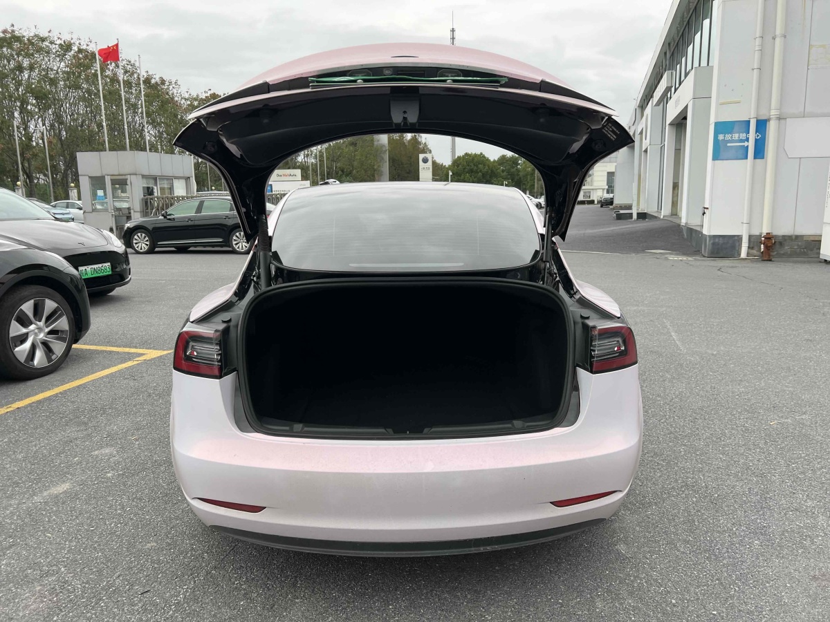 特斯拉 Model Y  2021款 標(biāo)準(zhǔn)續(xù)航后驅(qū)升級(jí)版 3D6圖片