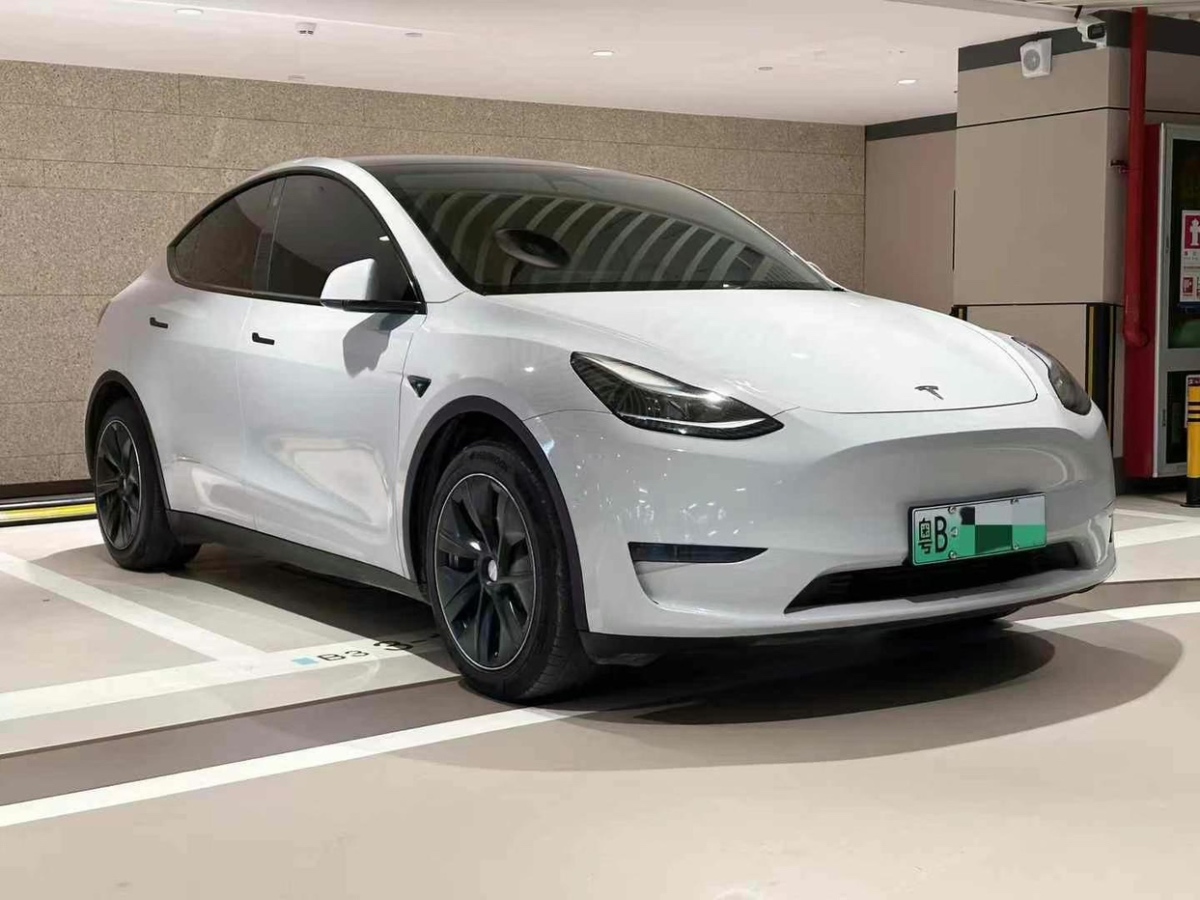 特斯拉 Model Y  2021款 標(biāo)準(zhǔn)續(xù)航后驅(qū)版圖片