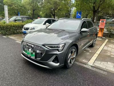 2021年1月 奧迪 奧迪SQ5(進口) 3.0 TFSI quattro圖片