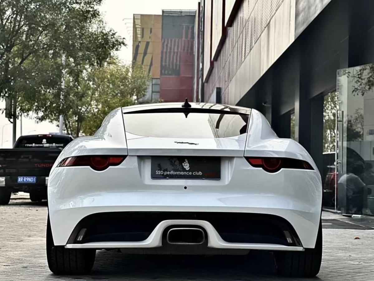 捷豹 F-TYPE  2020款 2.0T 賽旗版圖片