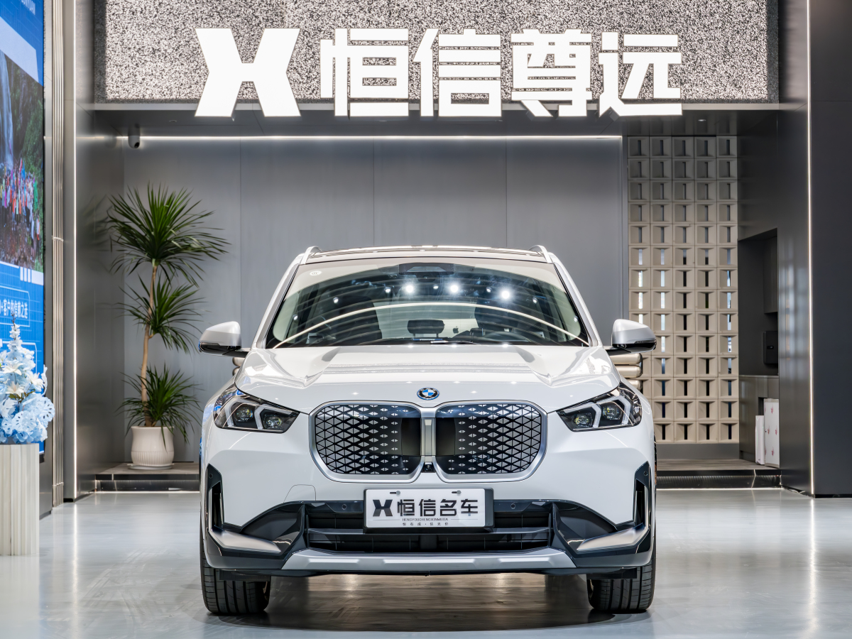 寶馬 寶馬iX1  2023款 xDrive30L X設計套裝圖片