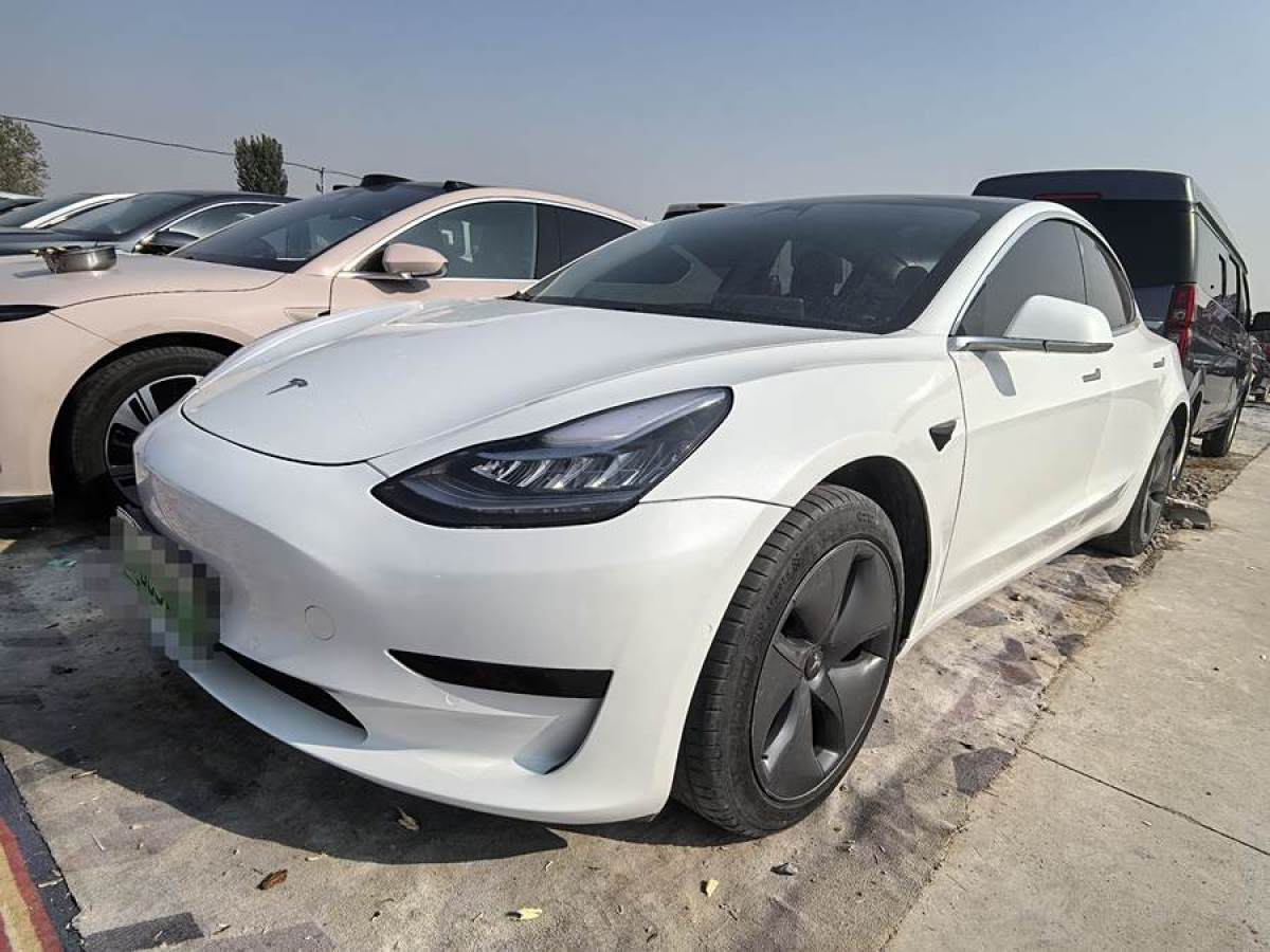 特斯拉 Model 3  2019款 標準續(xù)航后驅(qū)升級版圖片