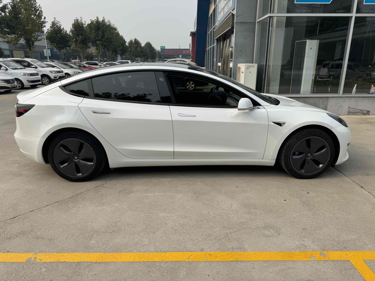 特斯拉 Model 3  2019款 標(biāo)準(zhǔn)續(xù)航后驅(qū)升級(jí)版圖片