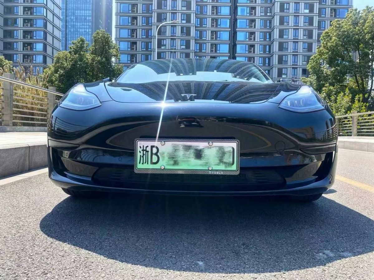 2023年1月特斯拉 Model S  2023款 三電機(jī)全輪驅(qū)動 Plaid版