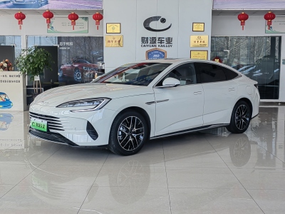 2024年11月 比亞迪 海豹07 DM-i DM-i 1.5L 125km 尊貴型圖片