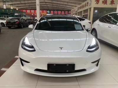 2021年10月 特斯拉 Model 3 標(biāo)準(zhǔn)續(xù)航后驅(qū)升級版 3D6圖片