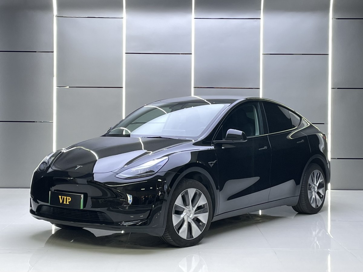 2023年4月特斯拉 Model Y  2020款 改款 長續(xù)航后輪驅(qū)動版