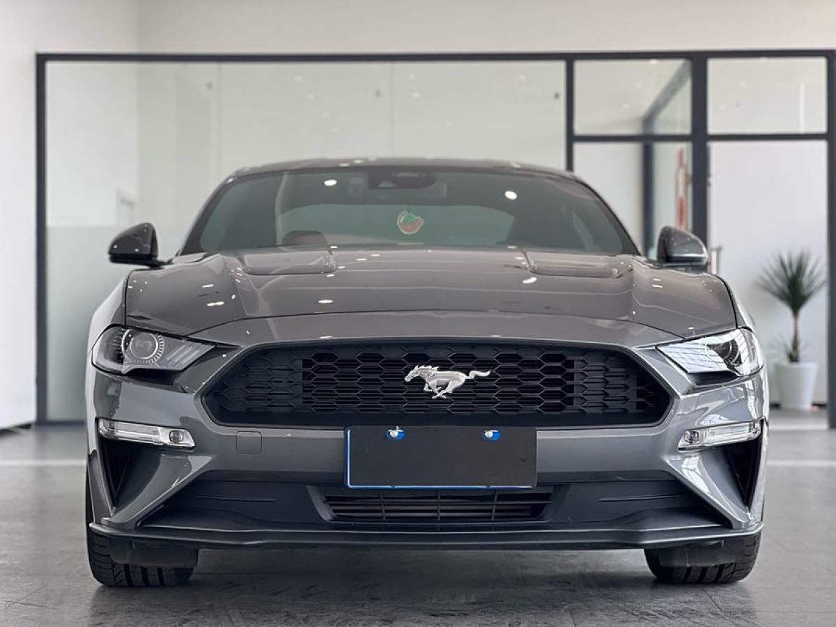 福特 Mustang  2021款 2.3L EcoBoost圖片