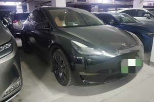Model S 特斯拉 三電機(jī)全輪驅(qū)動(dòng) Plaid版