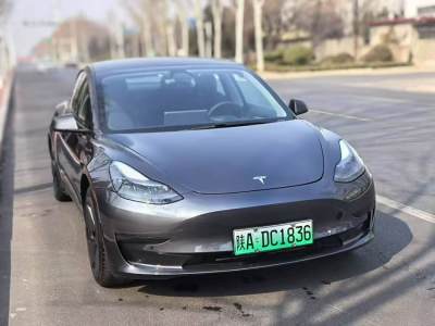 2021年2月 特斯拉 Model 3 改款 標(biāo)準(zhǔn)續(xù)航后驅(qū)升級(jí)版圖片