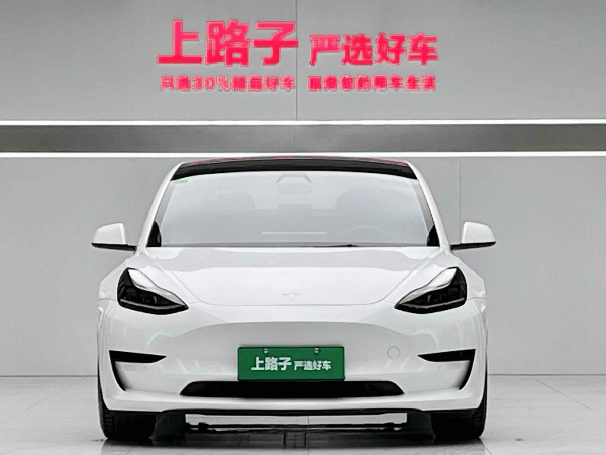 特斯拉 Model 3  2019款 標準續(xù)航后驅(qū)升級版圖片