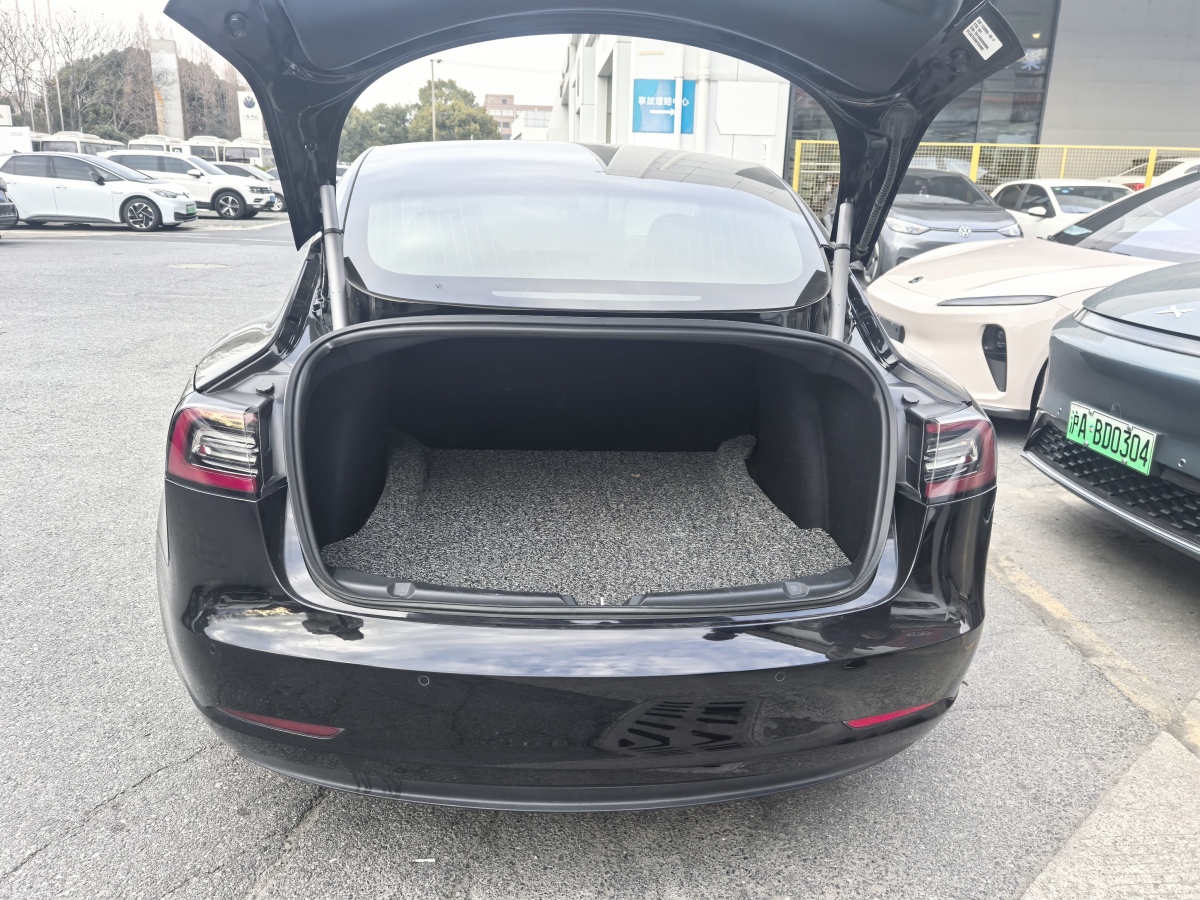 特斯拉 Model 3  2019款 長續(xù)航后驅(qū)版圖片