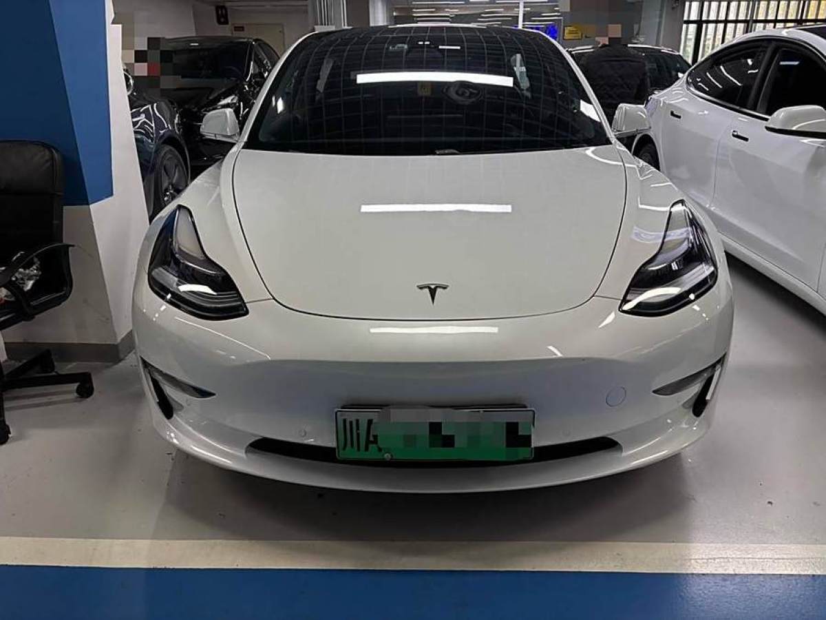 特斯拉 Model 3  2020款 改款 標(biāo)準(zhǔn)續(xù)航后驅(qū)升級(jí)版圖片