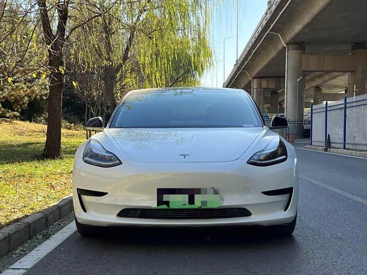 特斯拉 Model 3  2019款 標(biāo)準(zhǔn)續(xù)航后驅(qū)升級(jí)版圖片