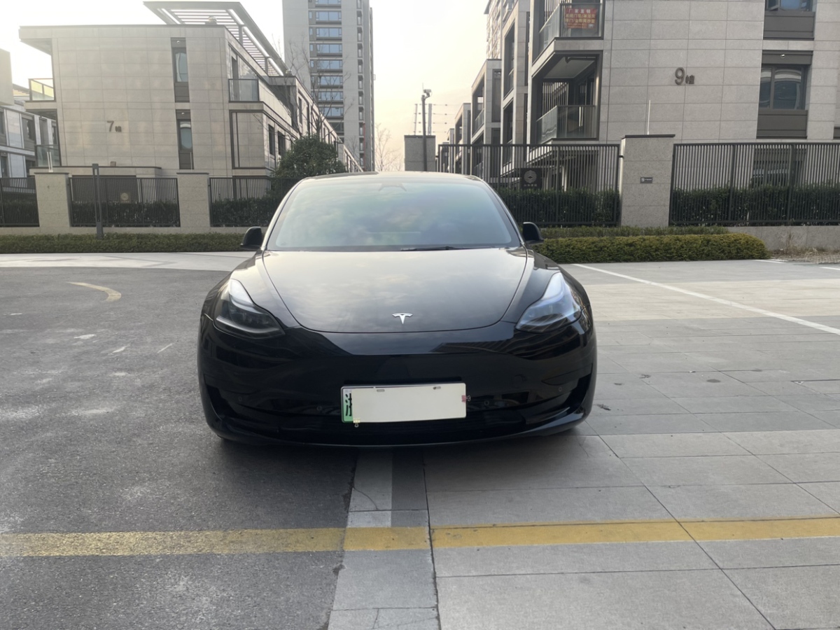 特斯拉 Model 3  2019款 標(biāo)準(zhǔn)續(xù)航后驅(qū)升級(jí)版圖片