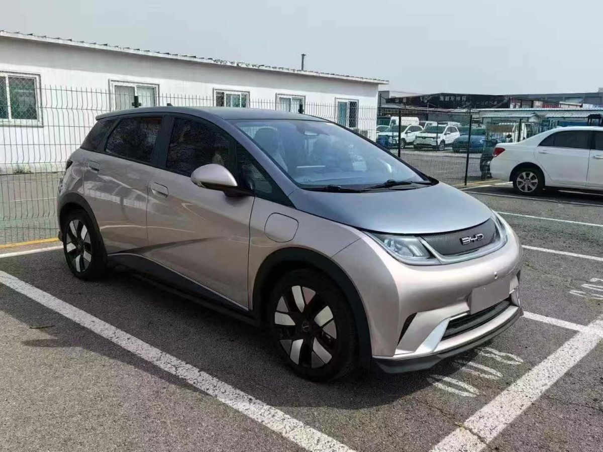 比亞迪 海豚  2023款 401km 騎士版圖片