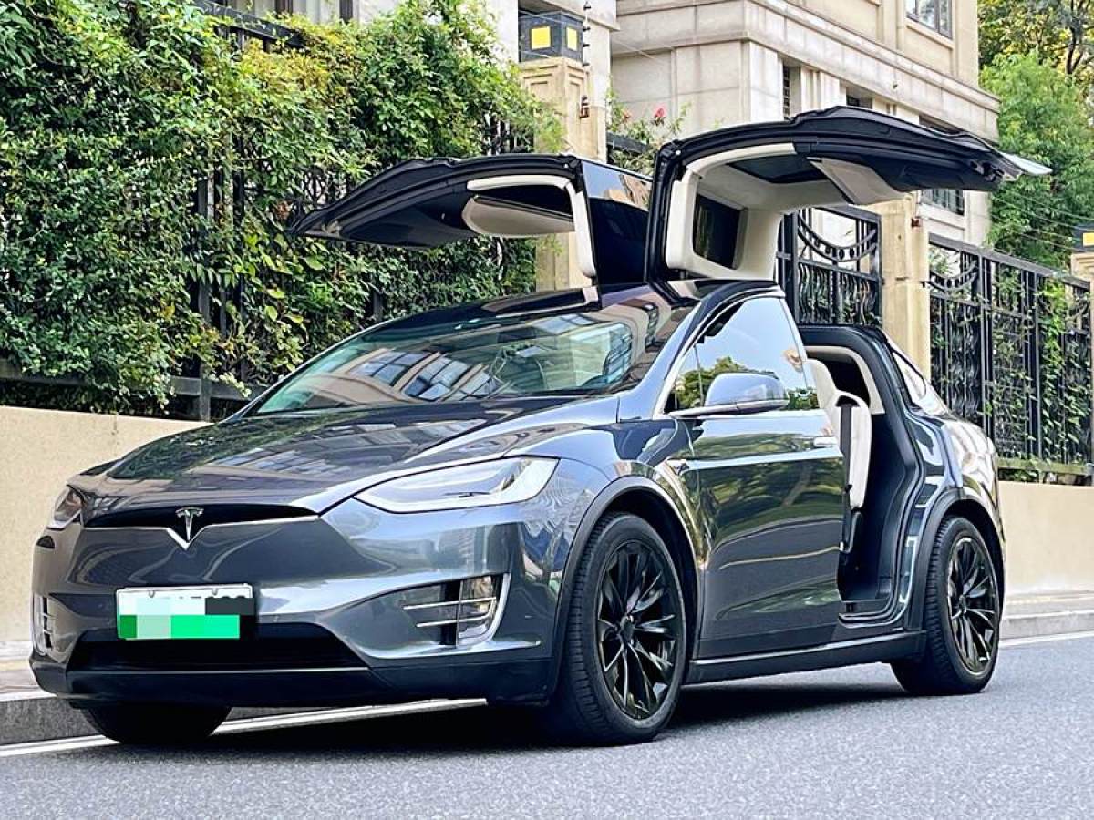 特斯拉 Model X  2017款 Model X 100D 長(zhǎng)續(xù)航版圖片