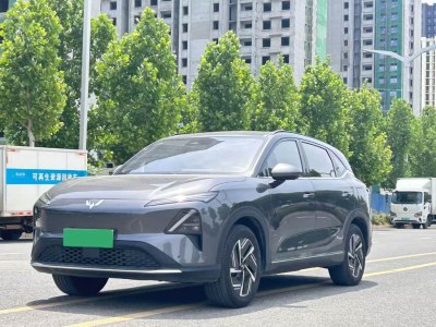 2024年11月 五菱 五菱星光S 510km 旗艦型圖片
