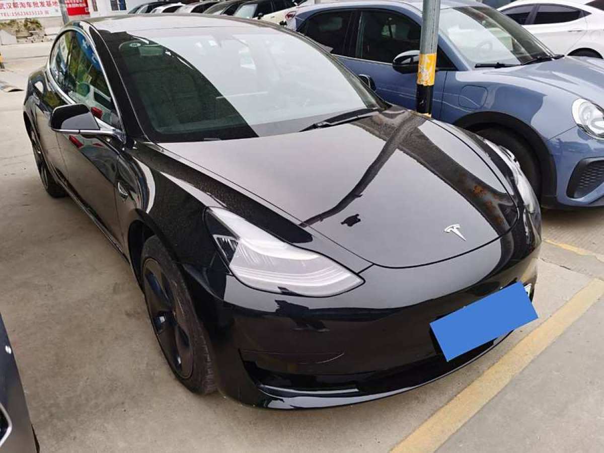 特斯拉 Model 3  2019款 標(biāo)準(zhǔn)續(xù)航后驅(qū)升級(jí)版圖片