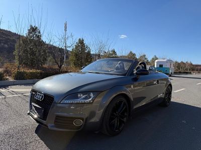 2013年6月 奧迪 奧迪TT(進(jìn)口) TT Roadster 2.0TFSI典雅版圖片