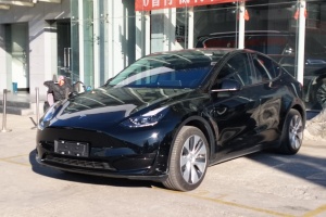 Model 3 特斯拉 后輪驅(qū)動版