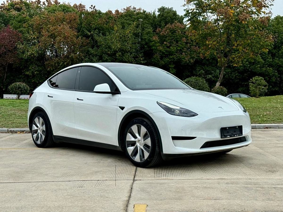 特斯拉 Model 3  2020款 改款 長(zhǎng)續(xù)航后輪驅(qū)動(dòng)版圖片