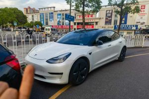 Model X 特斯拉 Performance 高性能版