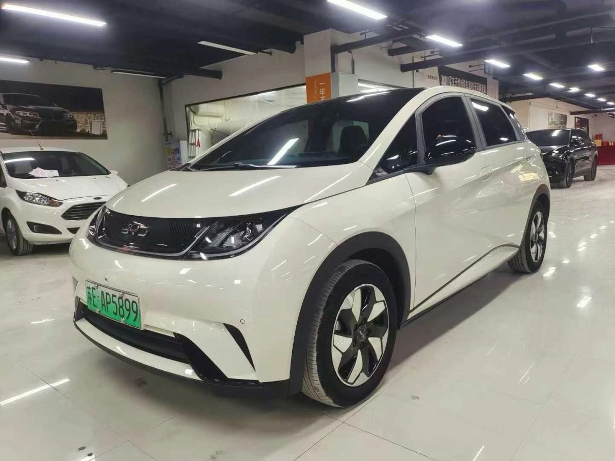 比亞迪 海豚  2024款 榮耀版 302km 活力版圖片