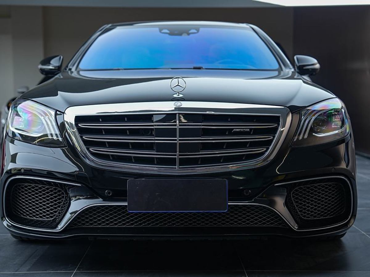 奔馳 奔馳S級AMG  2014款 AMG S 65 L圖片