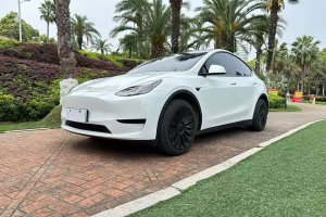 Model Y 特斯拉 后輪驅(qū)動版