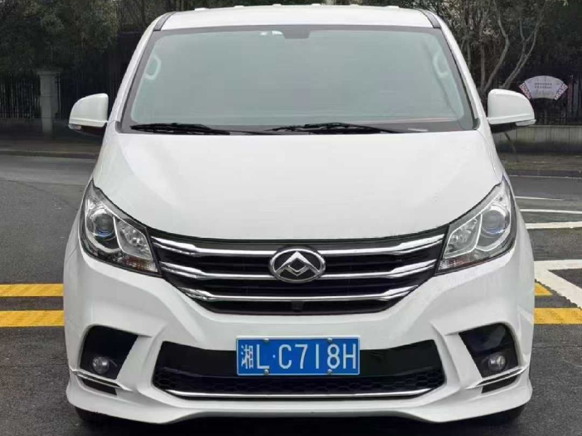 上汽大通 EG10  2021款 純電動精英版圖片