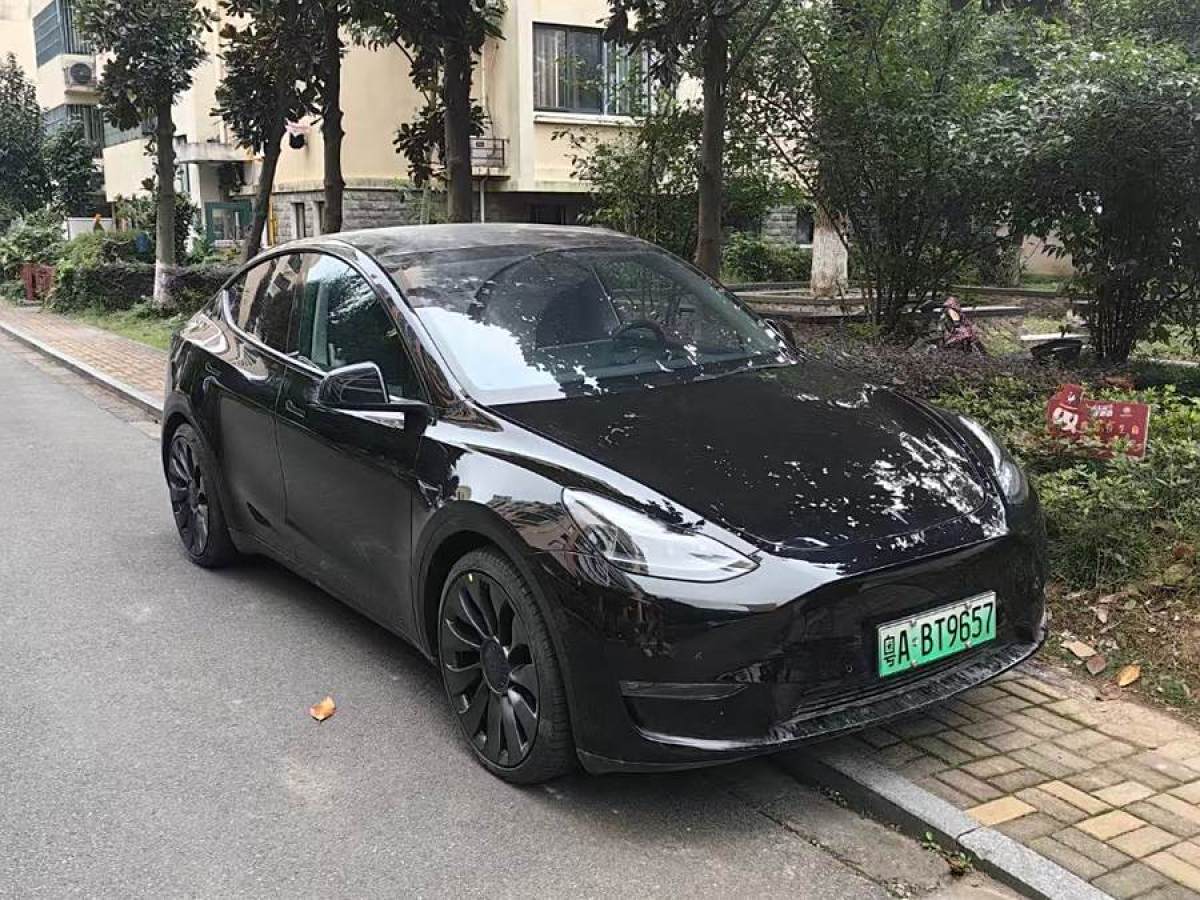 特斯拉 Model 3  2022款 Performance高性能全輪驅(qū)動(dòng)版圖片