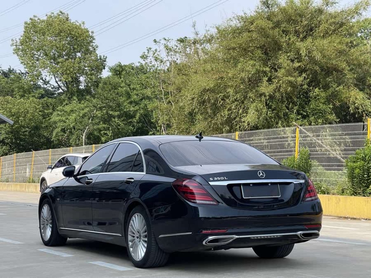 奔馳 奔馳S級  2020款 S 350 L 商務型 臻藏版圖片