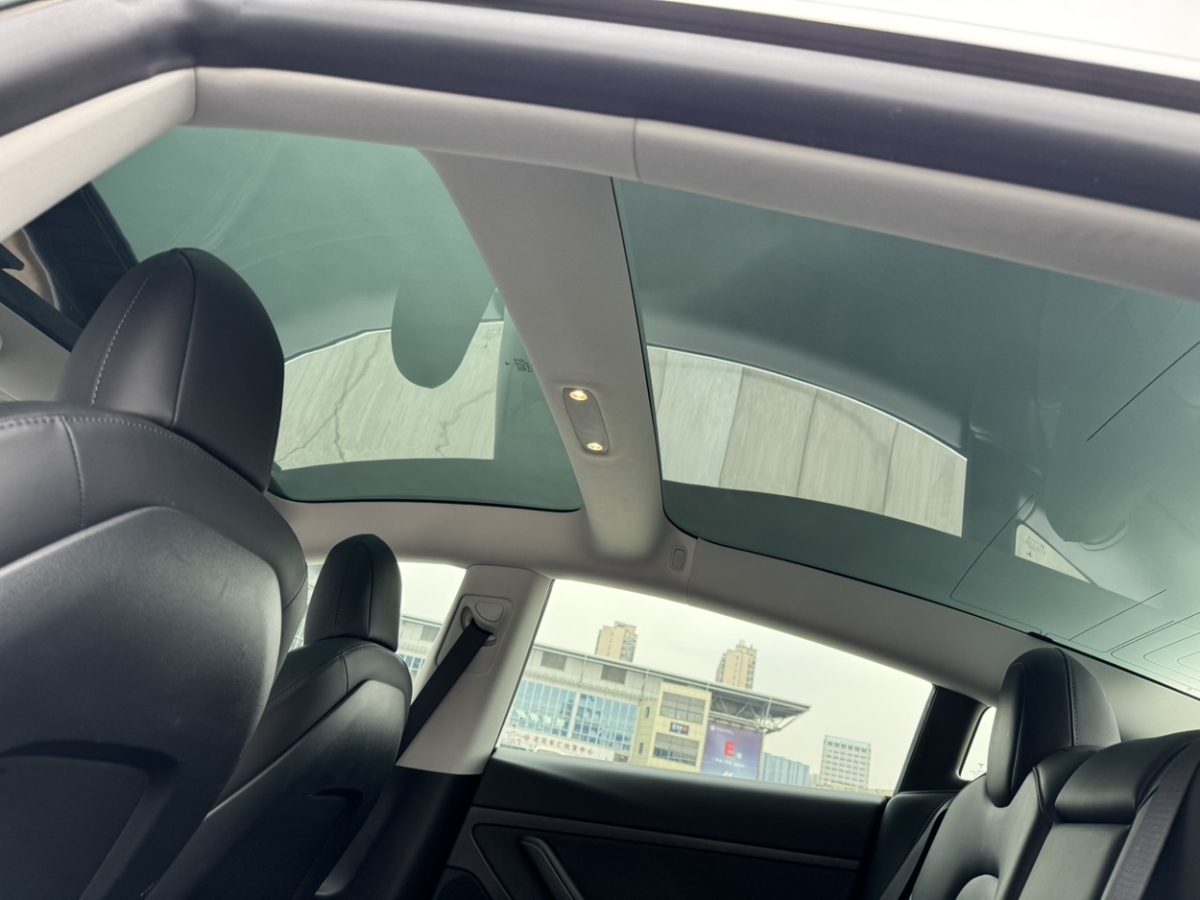 特斯拉 Model 3  2019款 標準續(xù)航后驅(qū)升級版圖片